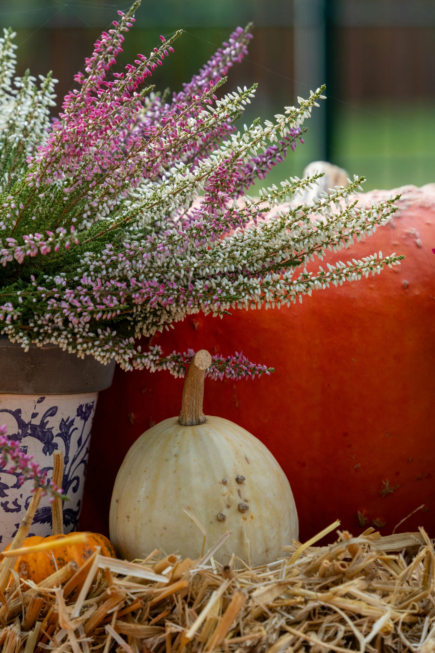 Almond Flour Pumpkin Muffins: A Gluten-Free Recipe By Carine Claudepierre