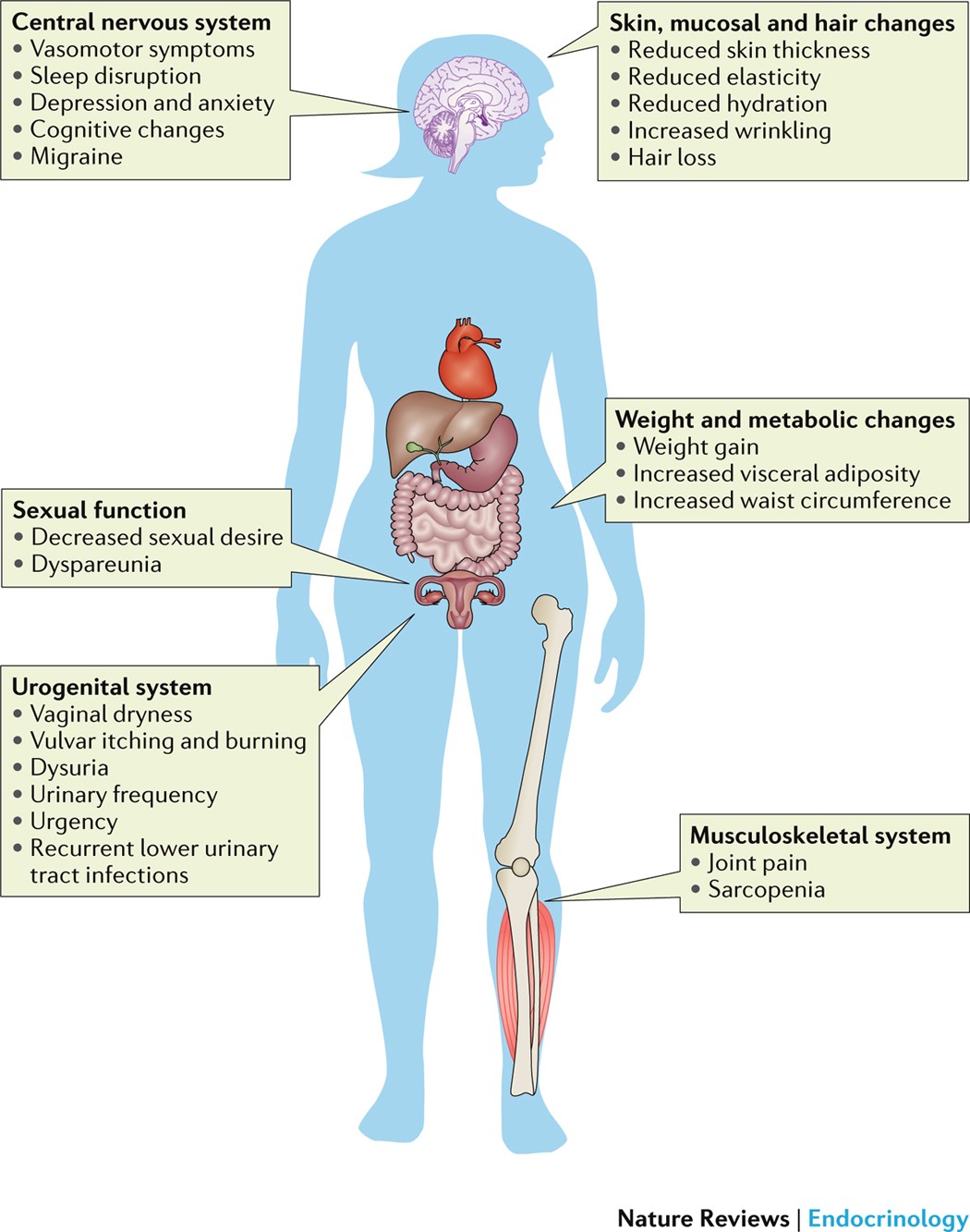 Understanding The Biggest Symptom Of Menopause