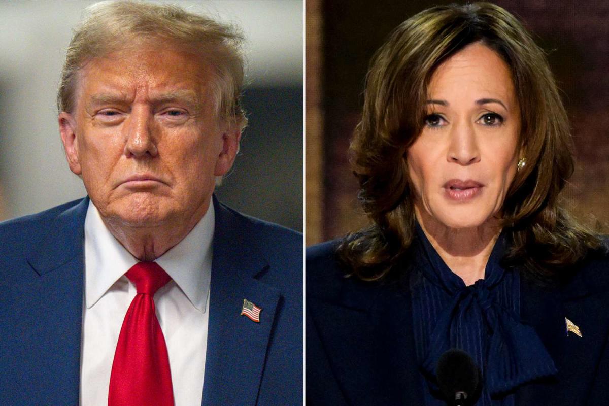 Donald Trump Calls Kamala Harris The R-Word At Dinner With Billionaire Donors: Report