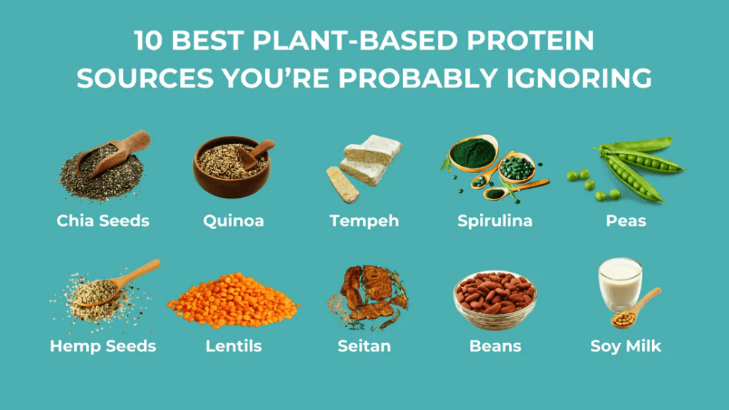 Exploring What Are The Top Plant-Based Proteins