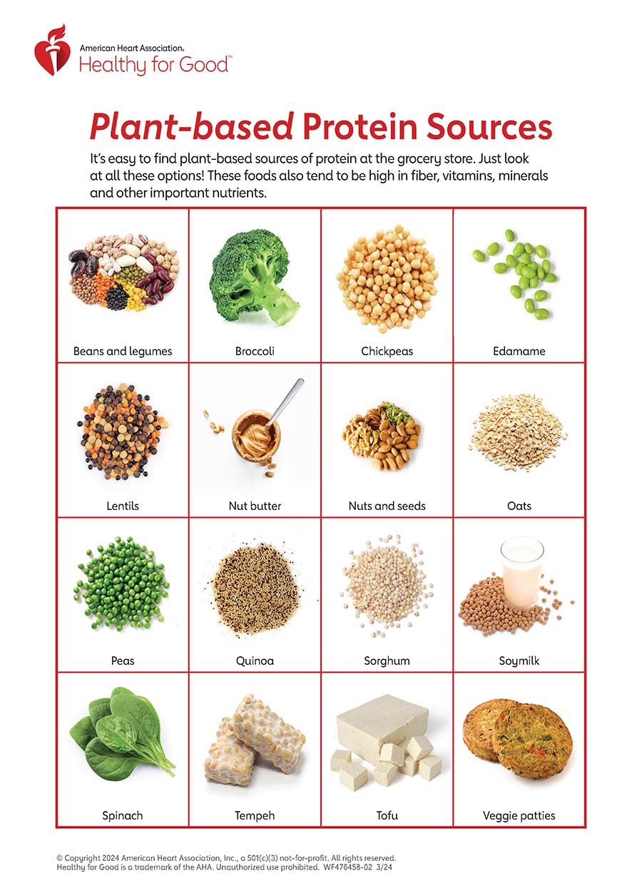 Exploring What Are The Top Plant-Based Proteins