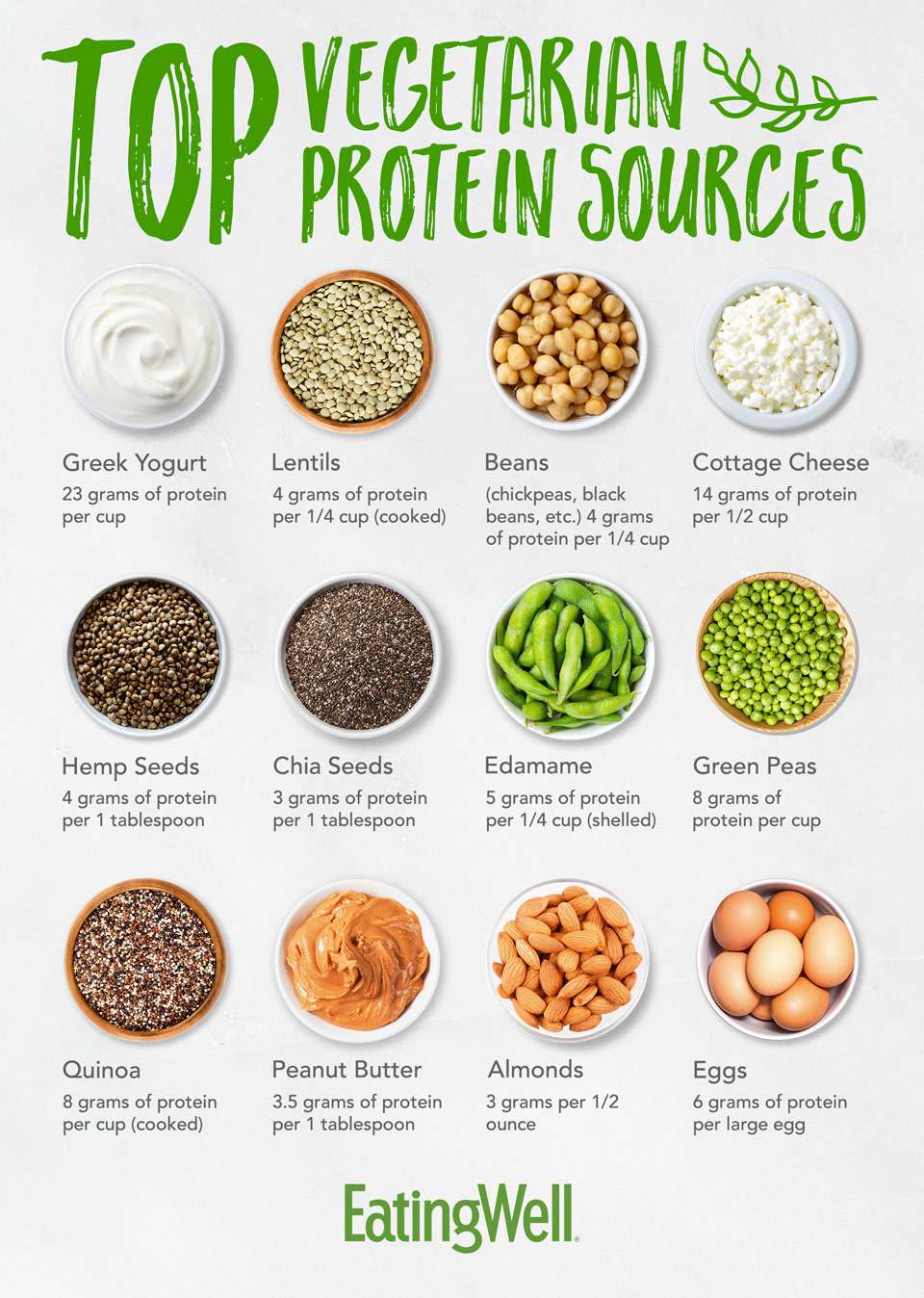 Exploring What Are The Top Plant-Based Proteins