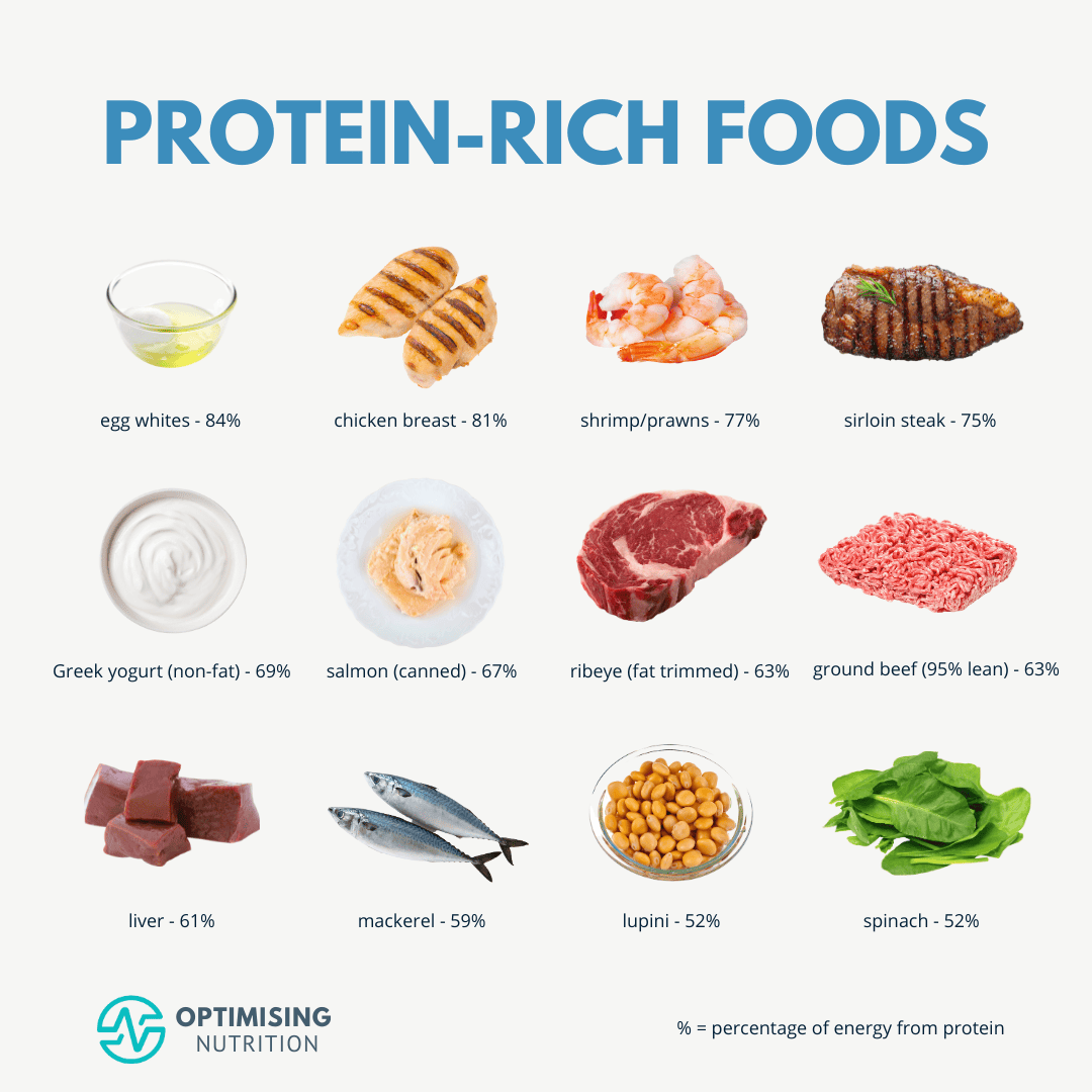 Exploring What Foods Are Highest In Protein