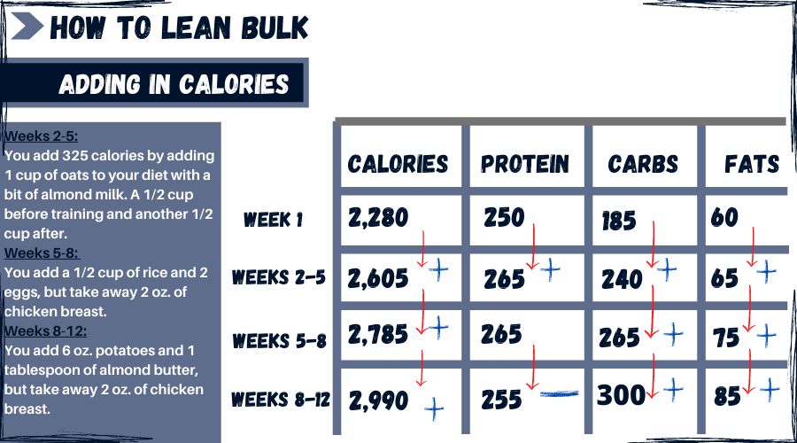 How Much Protein Should I Eat To Successfully Bulk Up?