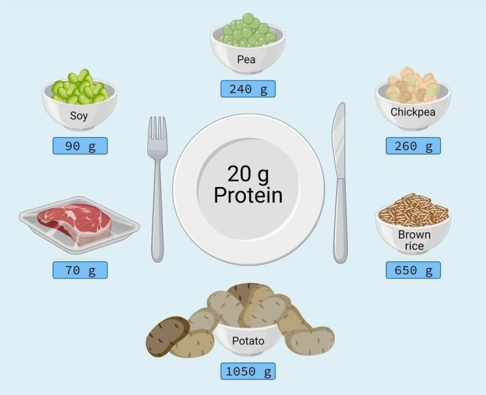 How Much Protein Should I Eat To Successfully Bulk Up?