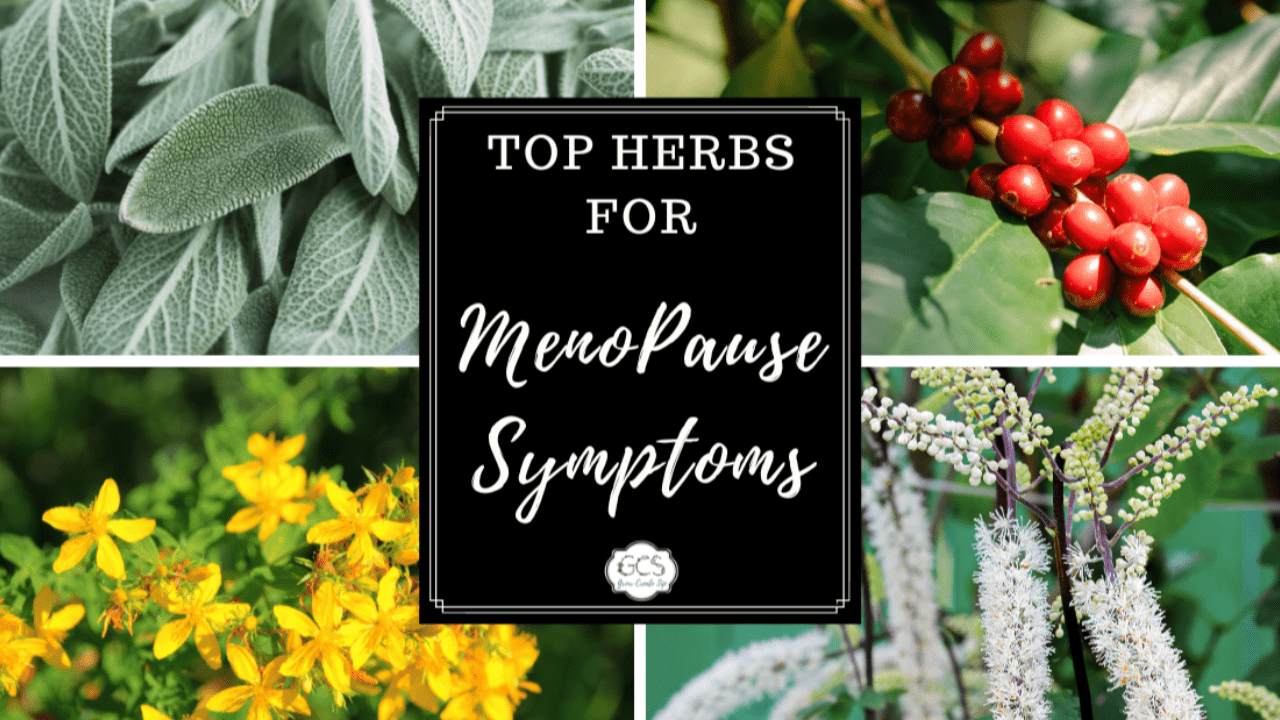 What Is The Number One Herb For Menopause Relief?